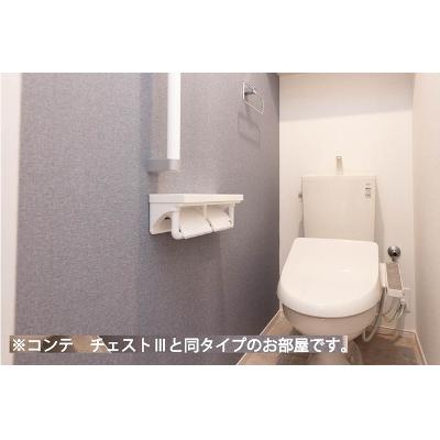 ヒカルサさいたまサクラ 305【管理NO：1-028559601-03050】 ★家具家電は申し込み後に搬入します 2026年10月下旬入居可能の物件画像