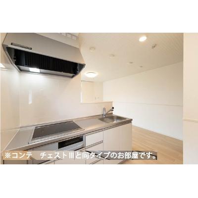 ヒカルサさいたまサクラ 301【管理NO：1-028559601-03010】 ★家具家電は申し込み後に搬入します 2026年10月下旬入居可能の物件画像