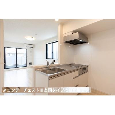 ヒカルサさいたまサクラ 205【管理NO：1-028559601-02050】 ★家具家電は申し込み後に搬入します 2026年10月下旬入居可能の物件画像