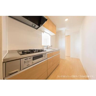 ヒカルサ大宮三橋 301【管理NO：1-028371401-03010】 ★家具家電は申し込み後に搬入します 2026年07月下旬入居可能の物件画像
