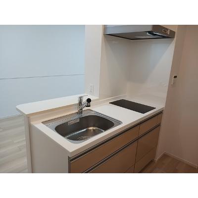 セレーネ 103【管理NO：1-028199801-01030】 ★家具家電は申し込み後に搬入しますの物件画像