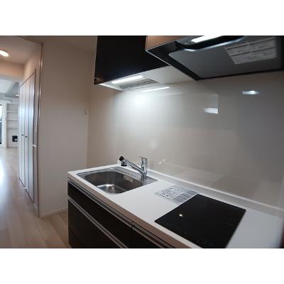 レジメント岸川 304【管理NO：1-028204301-03040】 ★家具家電は申し込み後に搬入しますの物件画像