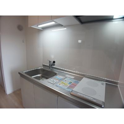 ヒカルサ川口芝西 304【管理NO：1-028499901-03040】 ★家具家電は申し込み後に搬入します★の物件画像