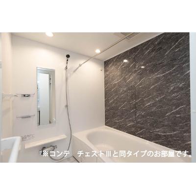 Ａｍｒｉｔａ　Ⅴ 301【管理NO：1-028476201-03010】 ★家具家電は申し込み後に搬入します 2026年10月上旬入居可能の物件画像