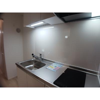 ヒカルサ東川口 206【管理NO：1-028349401-02060】 ★家具家電は申し込み後に搬入します★の物件画像