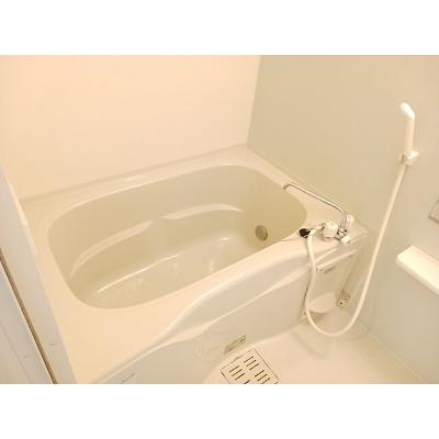 メゾン・ド・エレガンⅡ 103【管理NO：1-019178202-01030】 ★家具家電は申し込み後に搬入します★の物件画像