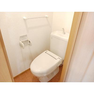 スターズ 203【管理NO：1-013840801-02030】 ★家具家電は申し込み後に搬入します★の物件画像