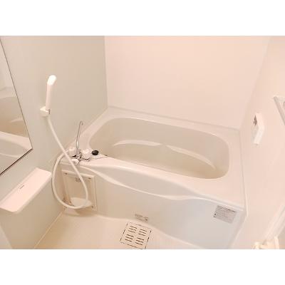 サニープラシードⅤ 204【管理NO：1-019785901-02040】 ★家具家電は申し込み後に搬入します★の物件画像