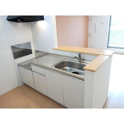 サニープラシードⅤ 203【管理NO：1-019785901-02030】 ★家具家電は申し込み後に搬入します★ ★2026年08月上旬入居可能★の物件画像