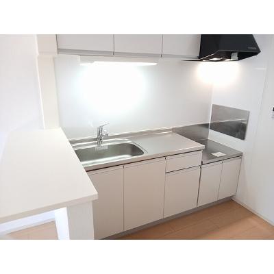 サンエスポアールⅦ 201【管理NO：1-019205302-02010】 ★家具家電は申し込み後に搬入しますの物件画像