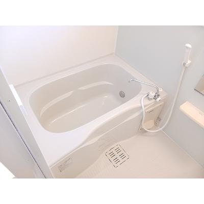 メゾン・ド・エレガンⅡ 203【管理NO：1-019178202-02030】 ★家具家電は申し込み後に搬入します★の物件画像