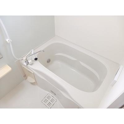 カーサ　フェリーチェⅡ 202【管理NO：1-018541702-02020】 ★家具家電は申し込み後に搬入します★の物件画像