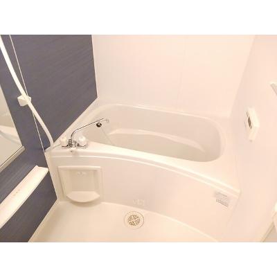 白蔵Ⅶ 202【管理NO：1-018064501-02020】 ★家具家電は申し込み後に搬入します★の物件画像