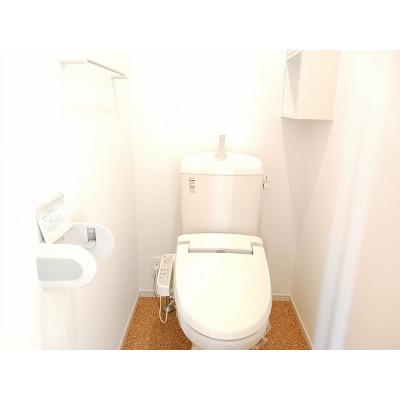 パティオスカイⅦ 303【管理NO：1-017245901-03030】 ★家具家電は申し込み後に搬入します★の物件画像