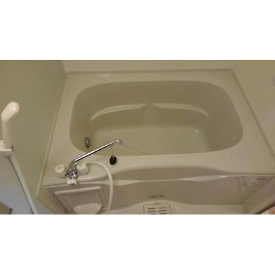 グレイス　フォーリストⅡ 203【管理NO：1-017125601-02030】 ★家具家電は申し込み後に搬入します 2026年07月中旬入居可能の物件画像