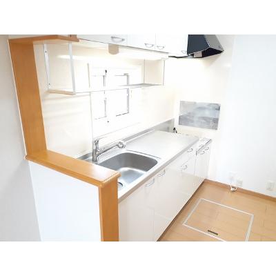 サンライトレジデンス　Ⅳ 101【管理NO：1-015295202-01010】 ★家具家電は申し込み後に搬入します 2026年07月下旬入居可能の物件画像