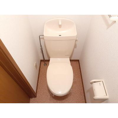トゥッティ・ジャルディーノ　Ⅱ 203【管理NO：1-010813302-02030】 ★家具家電は申し込み後に搬入します★の物件画像