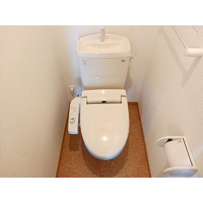 プラシードフィルⅤ 204【管理NO：1-014677501-02040】 2026年07月中旬入居可能の物件画像