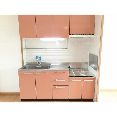エレガンシアＢ 203【管理NO：1-012535202-02030】 ★家具家電は申し込み後に搬入しますの物件画像