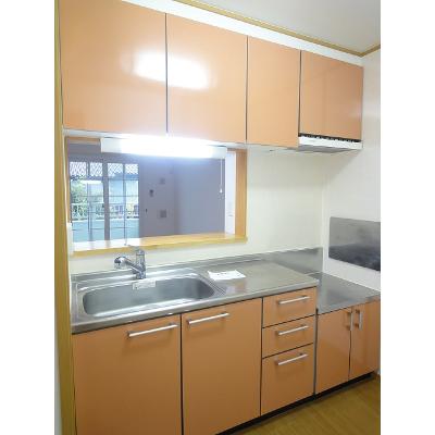 サニープラシードＢ 203【管理NO：1-013366402-02030】 ★家具家電は申し込み後に搬入しますの物件画像