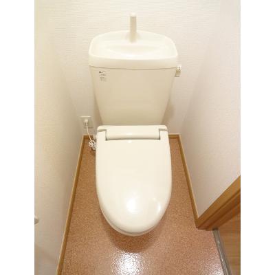 サニープラシードＢ 203【管理NO：1-013366402-02030】 ★家具家電は申し込み後に搬入しますの物件画像