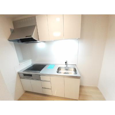 ジプソフィル 102【管理NO：1-027151401-01020】 ★家具家電は申し込み後に搬入しますの物件画像