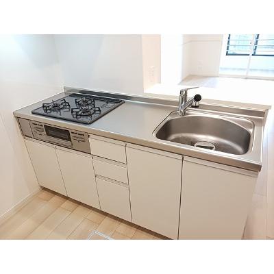 白山ヒルズＤ 102【管理NO：1-026620902-01020】 2026年08月中旬入居可能の物件画像