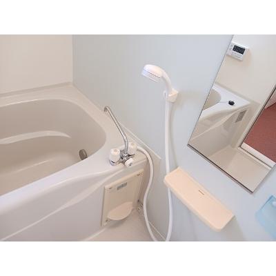 シャトン　ミョル 206【管理NO：1-019009101-02060】 2026年10月下旬入居可能の物件画像