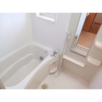 白山ヒルズⅡ　壱番館 204【管理NO：1-013674101-02040】 2026年08月中旬入居可能の物件画像