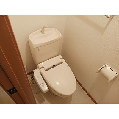 白山ヒルズⅡ　壱番館 204【管理NO：1-013674101-02040】 2026年08月中旬入居可能の物件画像
