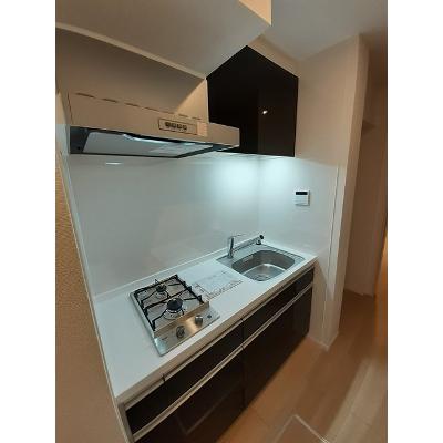 グレイシャス 101【管理NO：1-026393601-01010】 ★家具家電は申し込み後に搬入しますの物件画像