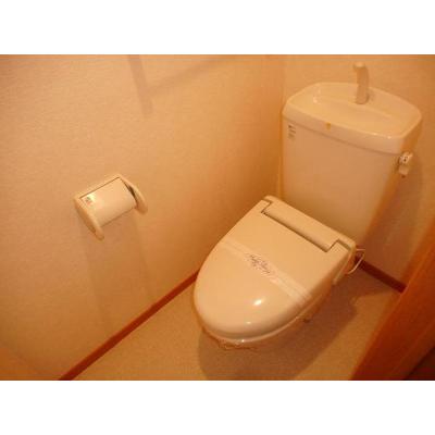 パシフィックコーストⅡ 203【管理NO：1-013186602-02030】 ★家具家電は申し込み後に搬入します 2026年09月中旬入居可能の物件画像
