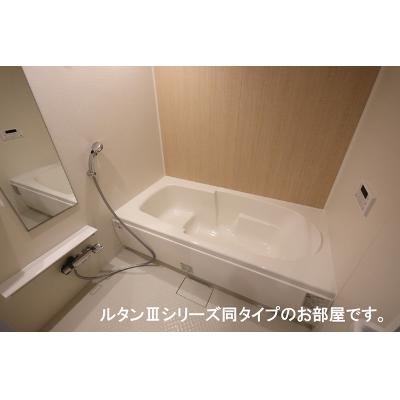 メゾン・ド・リュミエールⅢ 303【管理NO：1-028300601-03030】 ★家具家電は申し込み後に搬入します★ ★2026年09月下旬入居可能★の物件画像