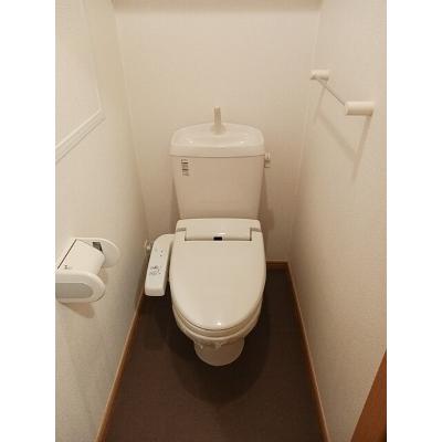 フォレストⅥ 202【管理NO：1-015374901-02020】 ★家具家電は申し込み後に搬入します★の物件画像