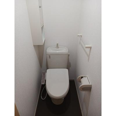 エレガント 101【管理NO：1-017156901-01010】 ★家具家電は申し込み後に搬入しますの物件画像
