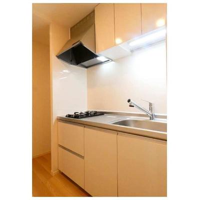 グラース（ＧＲＡＣＥ） 205【管理NO：1-028498201-02050】 ★家具家電は申し込み後に搬入しますの物件画像