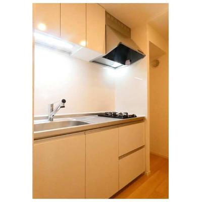 グラース（ＧＲＡＣＥ） 204【管理NO：1-028498201-02040】 ★家具家電は申し込み後に搬入しますの物件画像