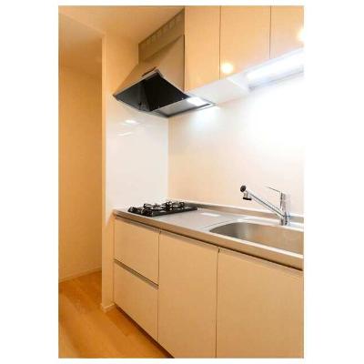 グラース（ＧＲＡＣＥ） 105【管理NO：1-028498201-01050】 ★家具家電は申し込み後に搬入します★の物件画像