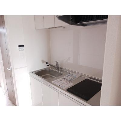 ヒカルサ三郷中央 307【管理NO：1-028302401-03070】 ★家具家電は申し込み後に搬入しますの物件画像