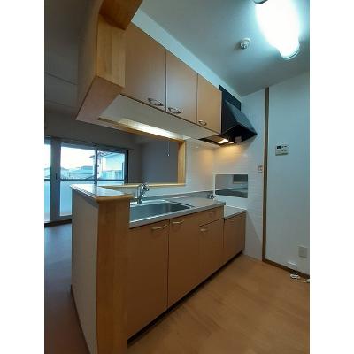 レトア手島 203【管理NO：1-010677401-02030】 ★家具家電は申し込み後に搬入しますの物件画像