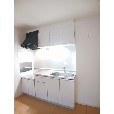 セレノコルソ 203【管理NO：1-018290401-02030】 ★家具家電は申し込み後に搬入しますの物件画像