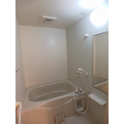 セレノコルソ 203【管理NO：1-018290401-02030】 ★家具家電は申し込み後に搬入しますの物件画像
