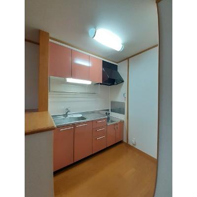 フィオレンテⅠ 203【管理NO：1-013307901-02030】 ★家具家電は申し込み後に搬入しますの物件画像