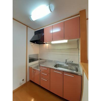 フィオレンテⅠ 201【管理NO：1-013307901-02010】 ★家具家電は申し込み後に搬入しますの物件画像