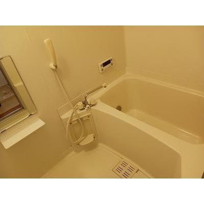 フォレスタ　Ａ 203【管理NO：1-007821601-02030】 ★家具家電は申し込み後に搬入しますの物件画像