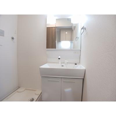 ｓｕｍｉｋａｗａ 303【管理NO：1-028527901-03030】 ★家具家電は申し込み後に搬入します★の物件画像