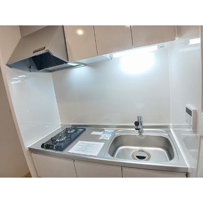 ｓｕｍｉｋａｗａ 202【管理NO：1-028527901-02020】 ★家具家電は申し込み後に搬入します★の物件画像