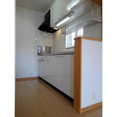 メリーモナーク 204【管理NO：1-015373901-02040】 ★家具家電は申し込み後に搬入しますの物件画像