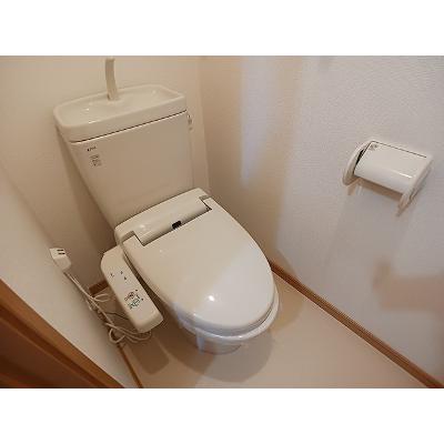 メゾン・エルフ 203【管理NO：1-014442001-02030】 ★家具家電は申し込み後に搬入します★の物件画像