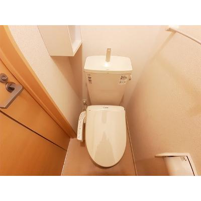サニーヒルズ城山 102【管理NO：1-019778401-01020】 ★家具家電は申し込み後に搬入します 2026年07月中旬入居可能の物件画像